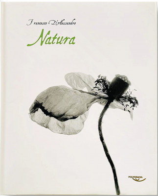 Francesco D’Alessandro: Natura